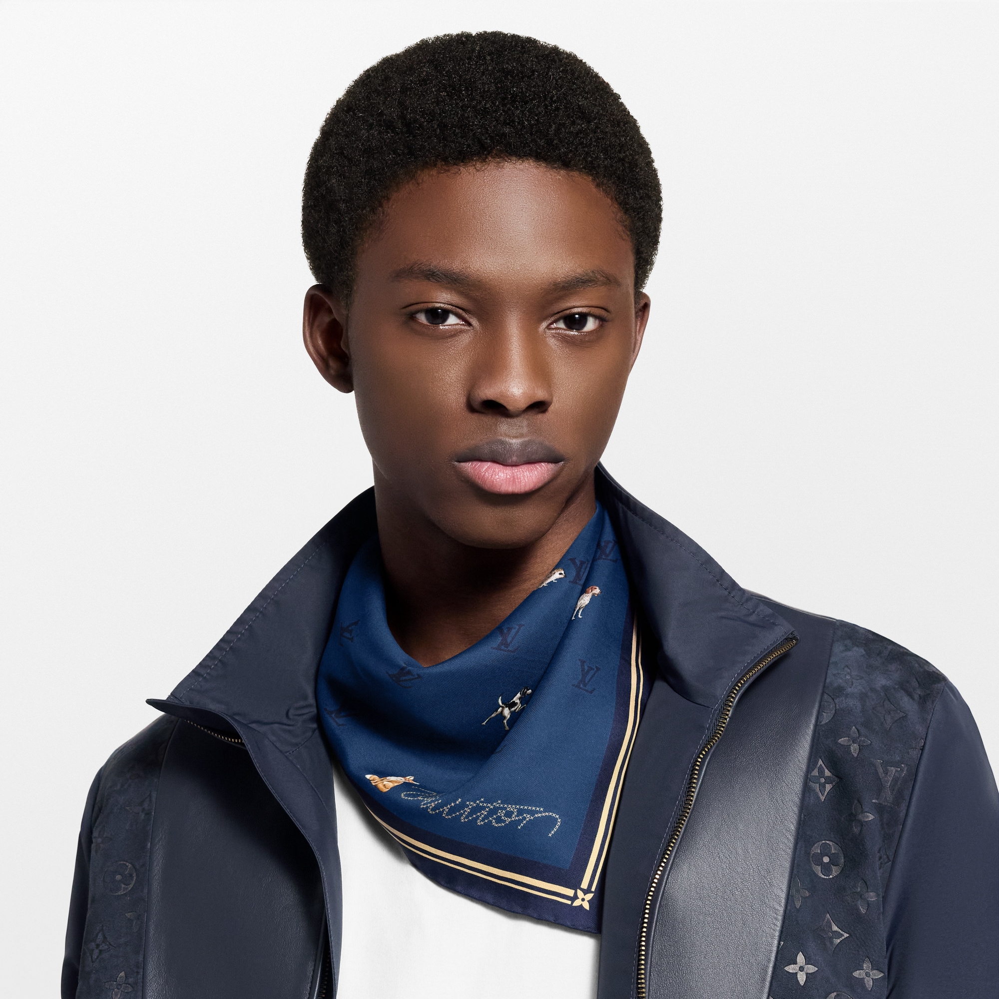 S00 Accesorios Pañuelos de seda y bandanas Bandana Animal Blason | Louis Vuitton ® (Ampliar producto)