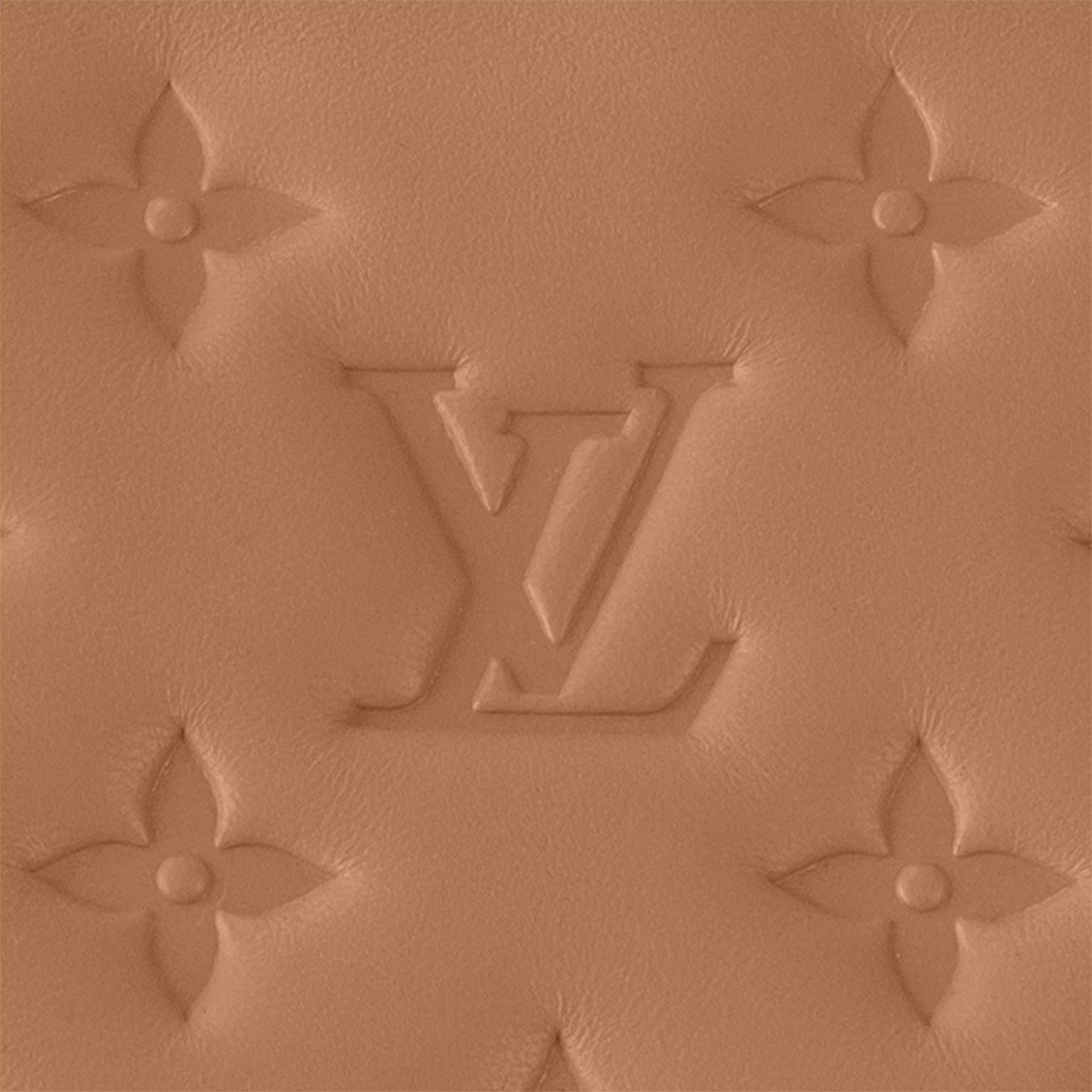 Coussin Bolsas de mano Todas las bolsas de mano Bolsa Coussin PM | Louis Vuitton ® (Ampliar producto)