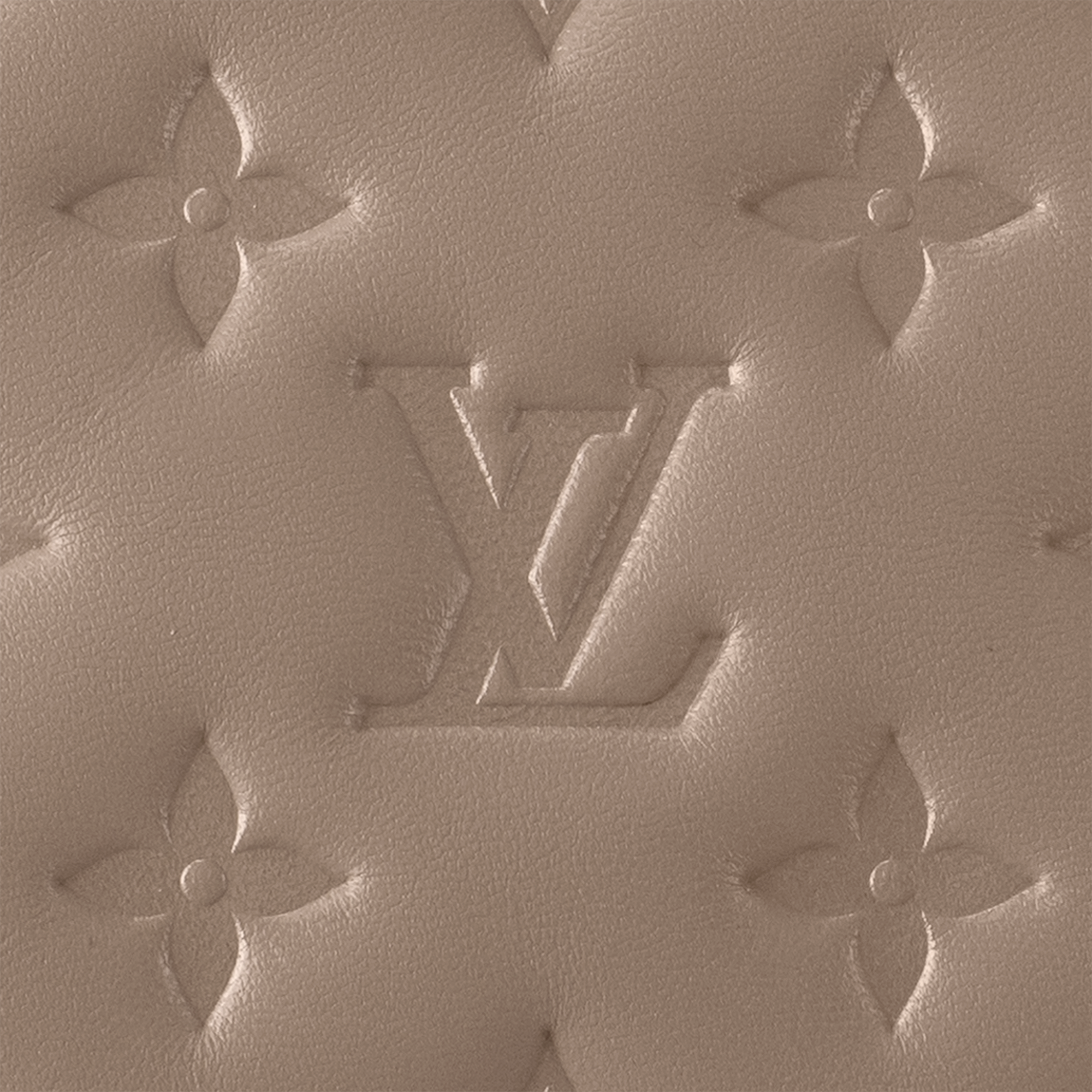 Coussin Bolsas de mano Todas las bolsas de mano Bolsa Coussin PM | Louis Vuitton ® (Ampliar producto)