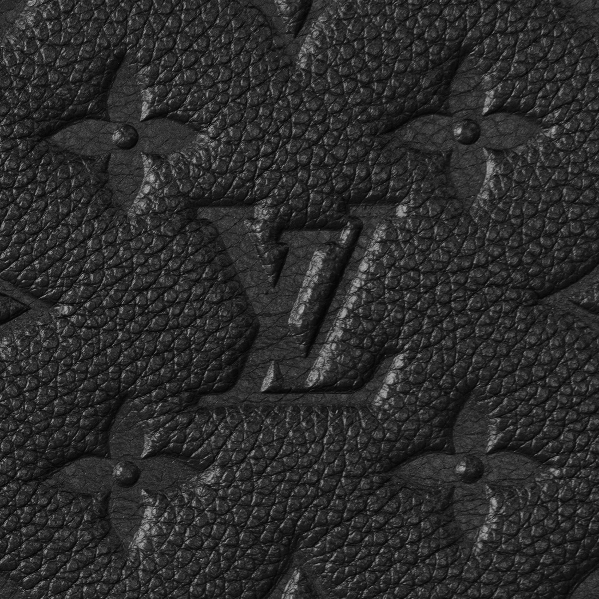 Monogram Empreinte Carteras y artículos de piel pequeños Todas las carteras y artículos de piel pequeños Bolsa Daily Pouch | Louis Vuitton ® (Ampliar producto)