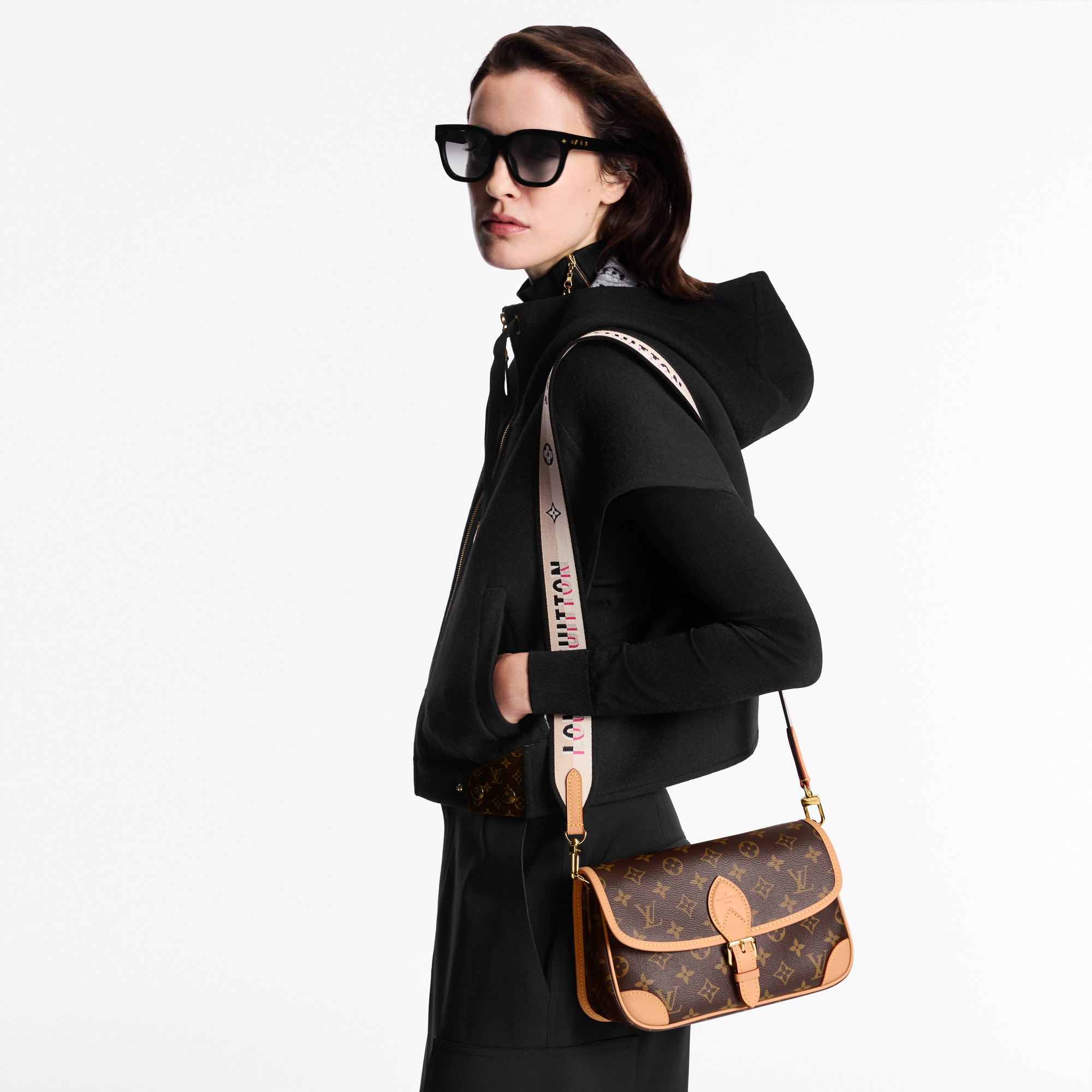 Monogram Bolsas de mano Todas las bolsas de mano Bolsa Diane | Louis Vuitton ® (Ampliar producto)