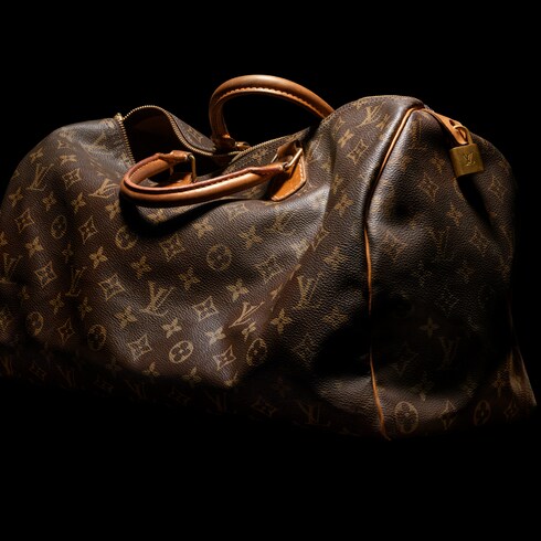Monogram Bolsas de mano Todas las bolsas de mano Bolsa Diane | Louis Vuitton ®