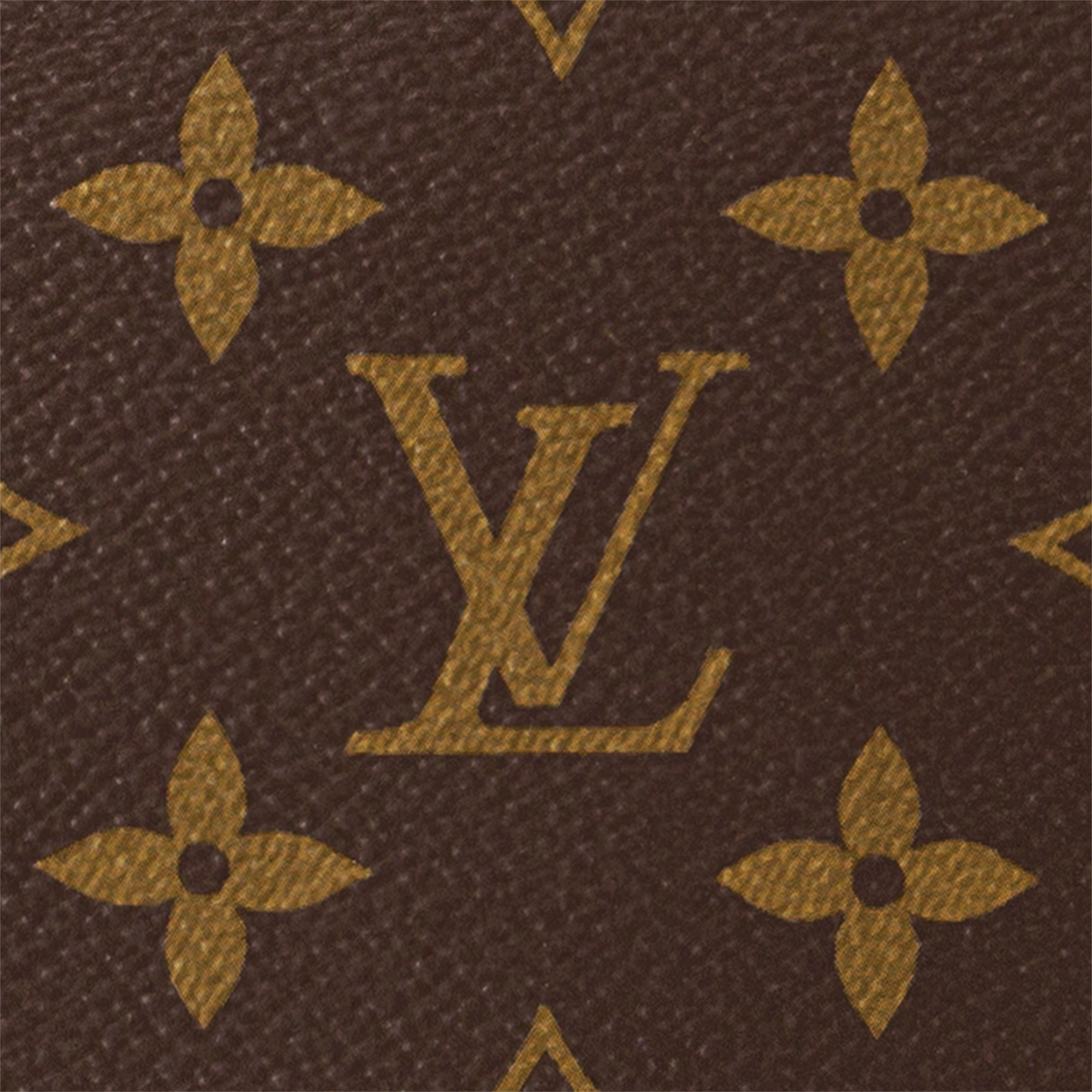 Canvas Monogram Bolsas de mano Todas las bolsas de mano Bolsa Loop Hobo | Louis Vuitton ® (Ampliar producto)