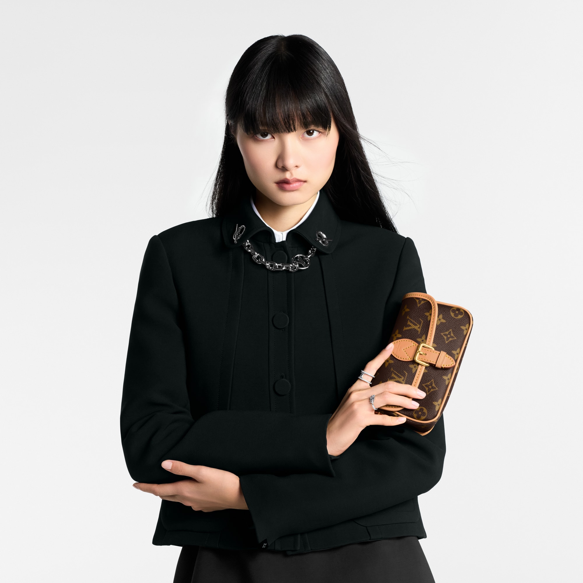 Monogram Carteras y artículos de piel pequeños Carteras con cadena y Micro Bolsas Bolsa Nano Diane | Louis Vuitton ® (Ampliar producto)