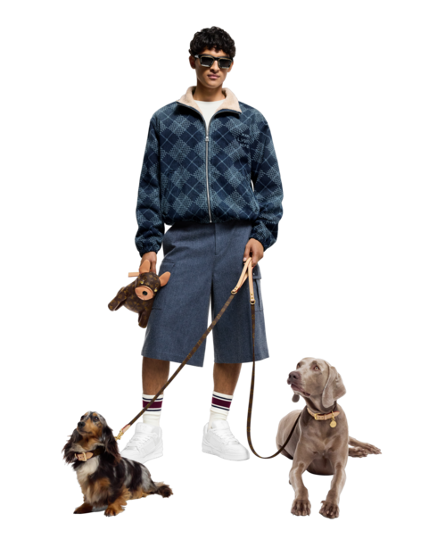 Monogram Bolsas All Collections Bolsa Vira-lata | Louis Vuitton ®