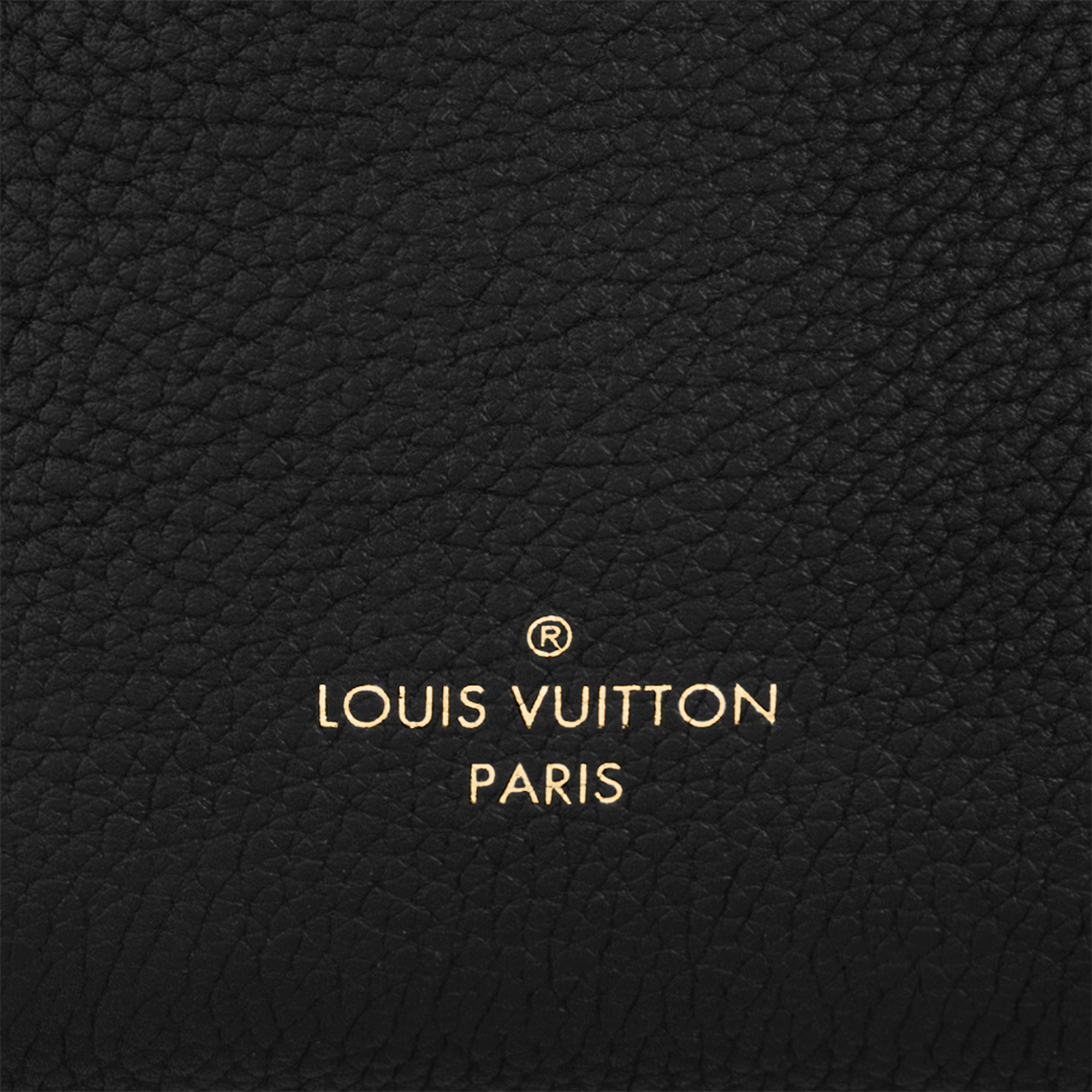 H27 Bolsas de mano Todas las colecciones Bolsa Side Trunk PM | Louis Vuitton ® (Ampliar producto)