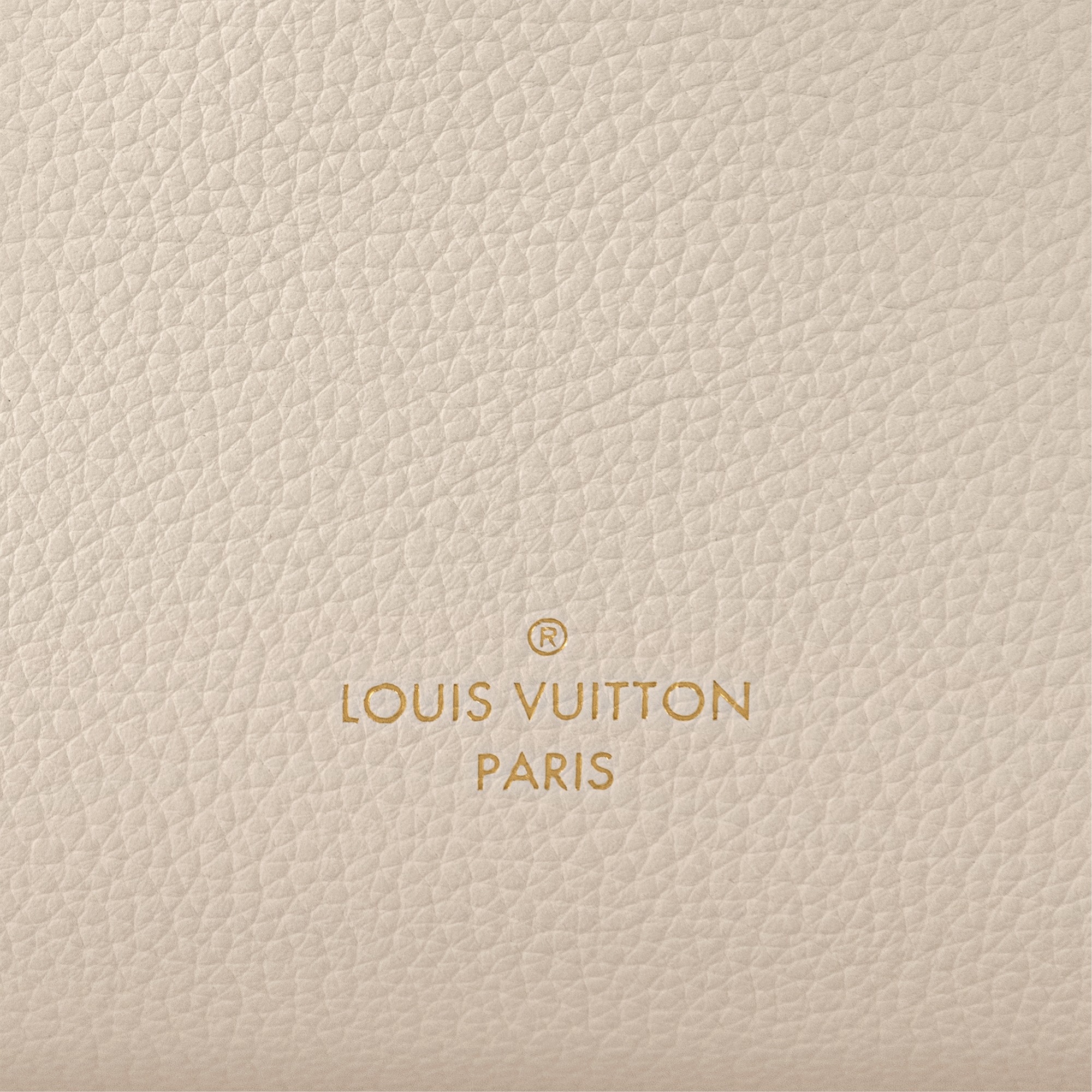 H27 Bolsas de mano Todas las colecciones Bolsa Side Trunk PM | Louis Vuitton ® (Ampliar producto)