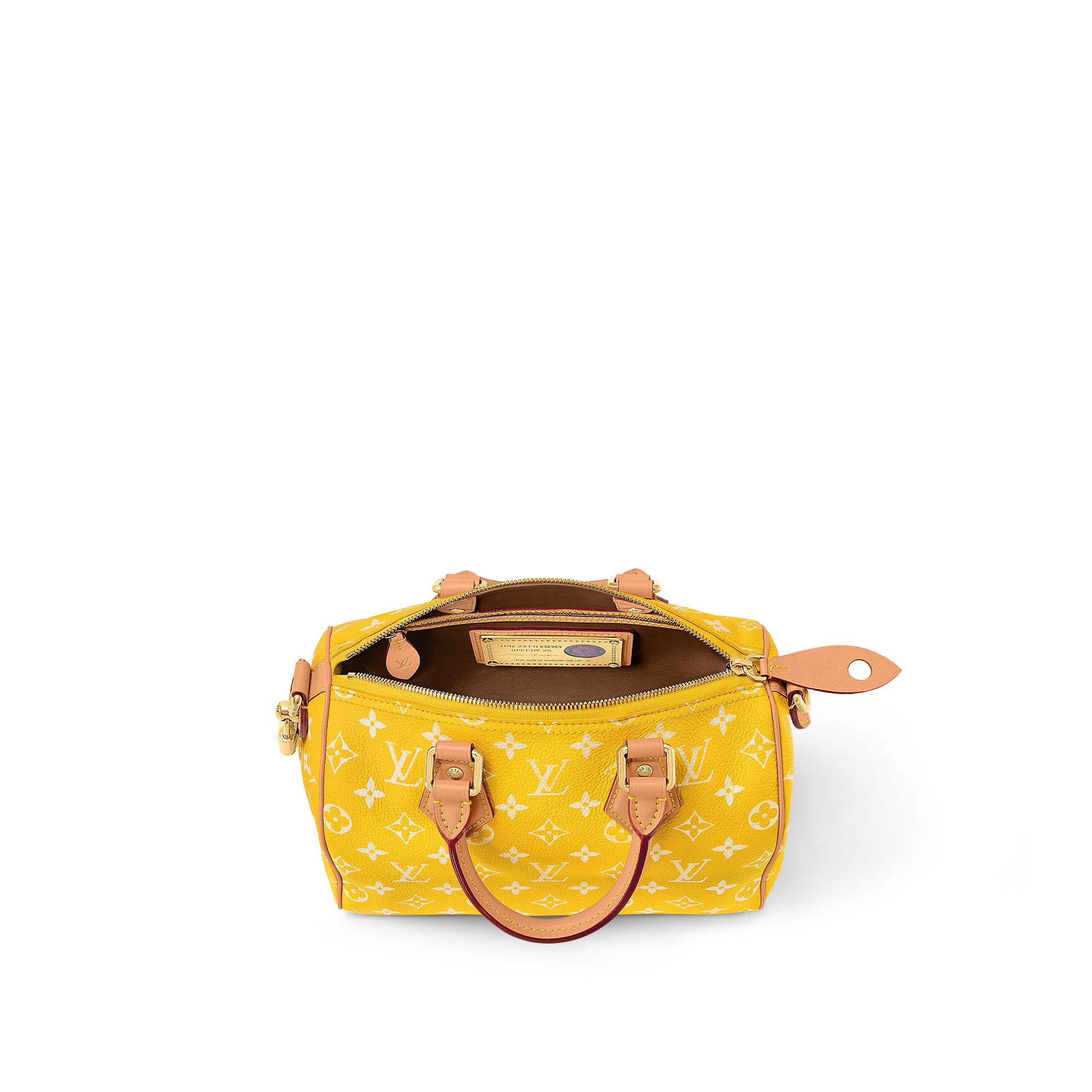 Autres Cuirs Monogram Artículos de Piel y Viaje Desfile Speedy Hombre Bolsa Speedy P9 25 con correa | Louis Vuitton ® (Ampliar producto)