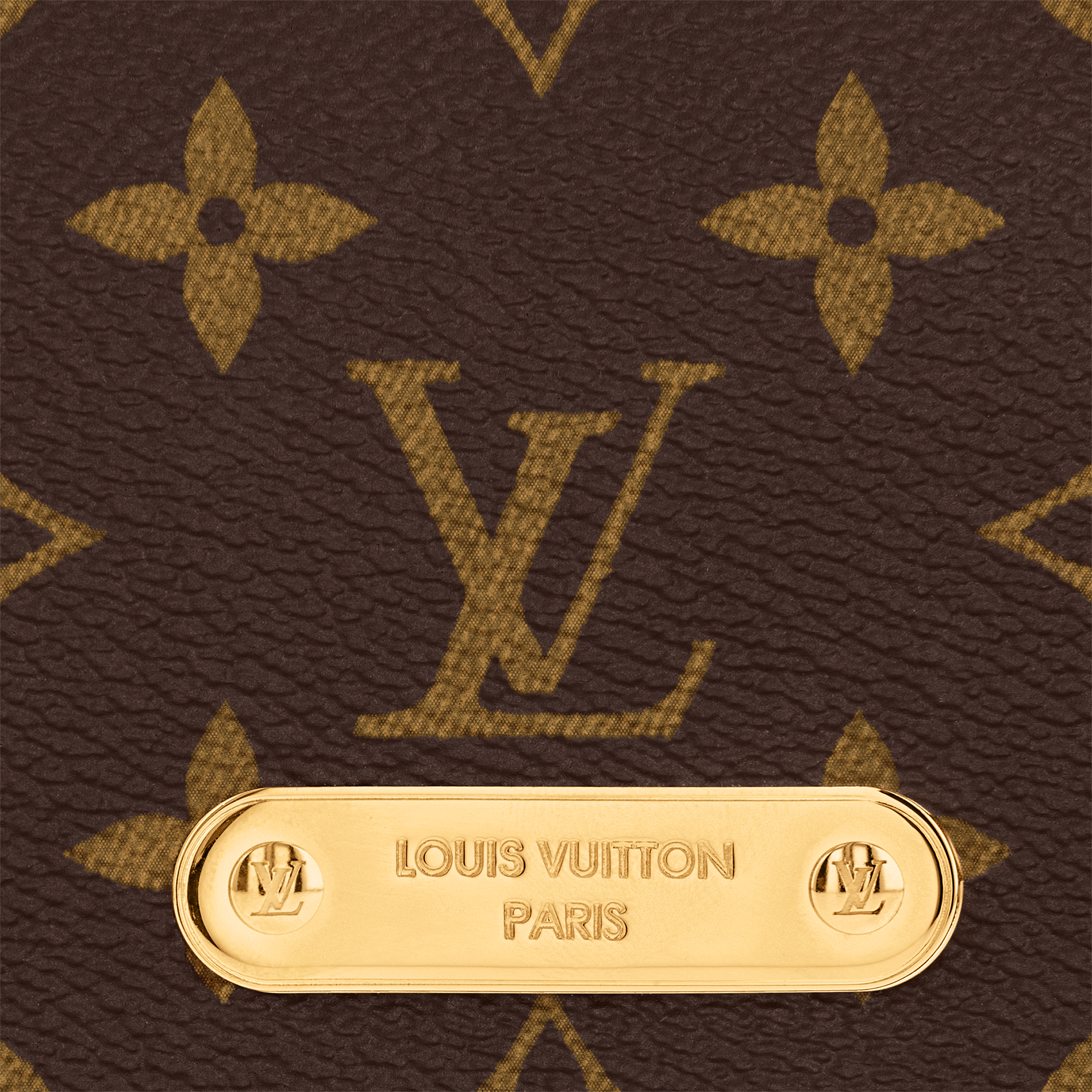 Monogram Carteras y artículos de piel pequeños Carteras con cadena y Micro Bolsas Cartera Wallet On Chain Lily | Louis Vuitton ® (Ampliar producto)