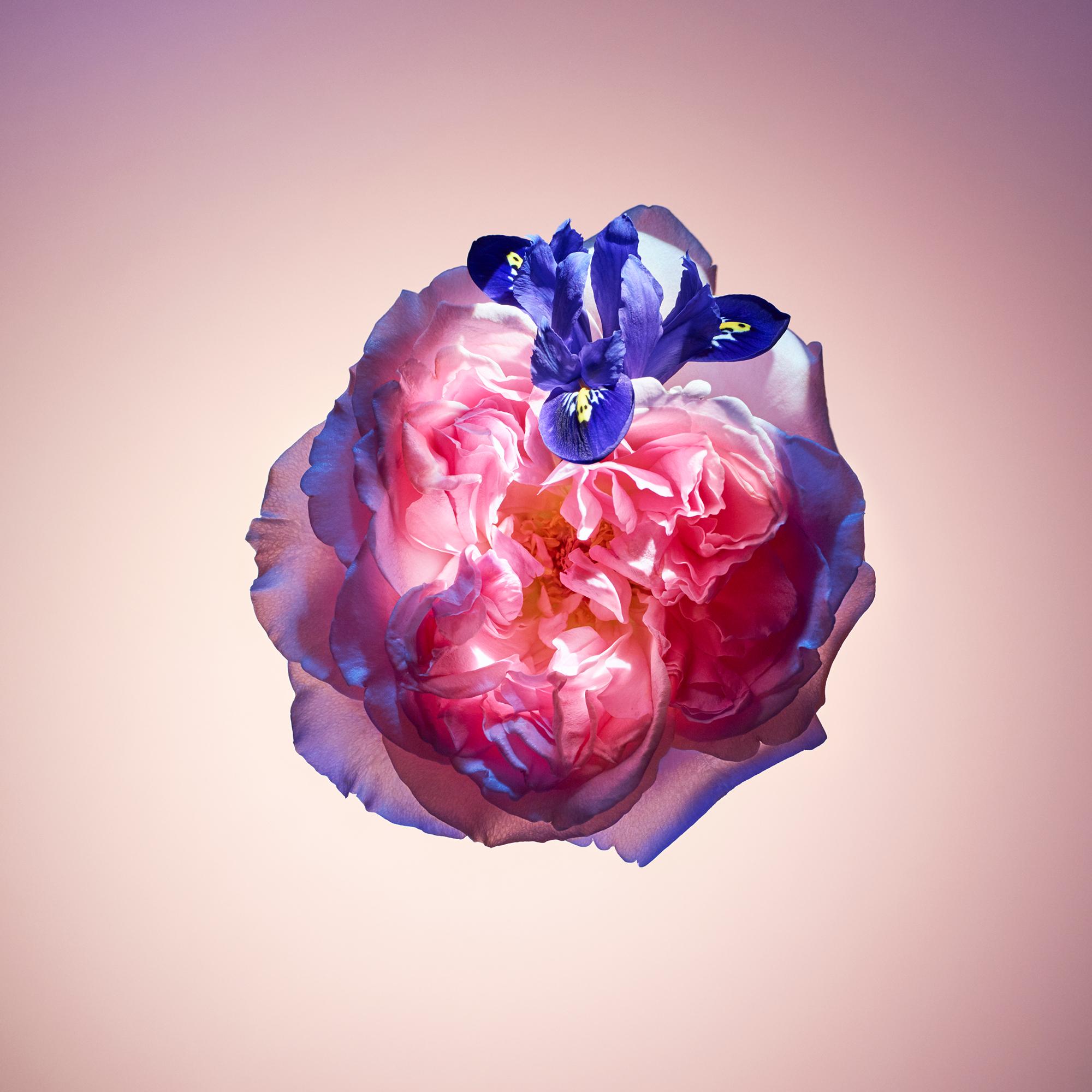  Colecciones Viajes Cartucho para vaporizador de viaje Rose des Vents | Louis Vuitton ® (Ampliar producto)