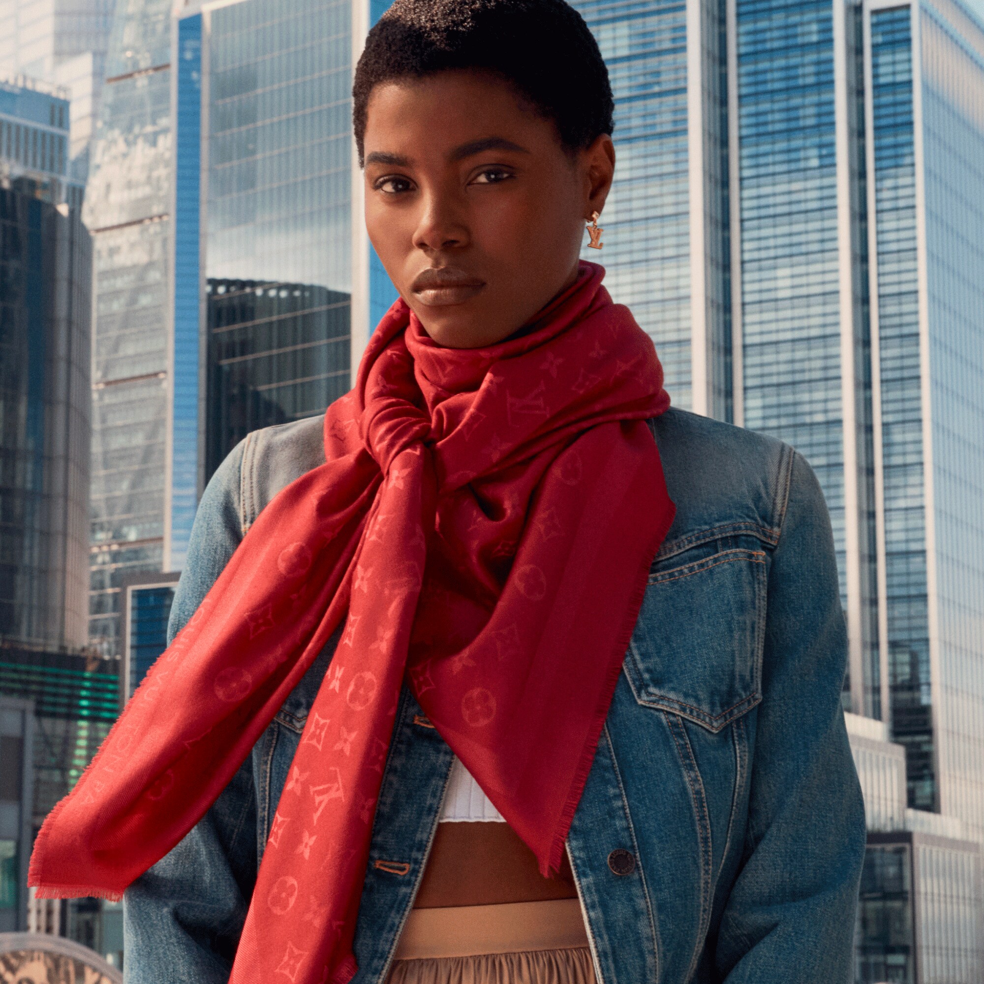 S00 Accesorios Chales y estolas Chal Monograma Classic | Louis Vuitton ® (Ampliar producto)