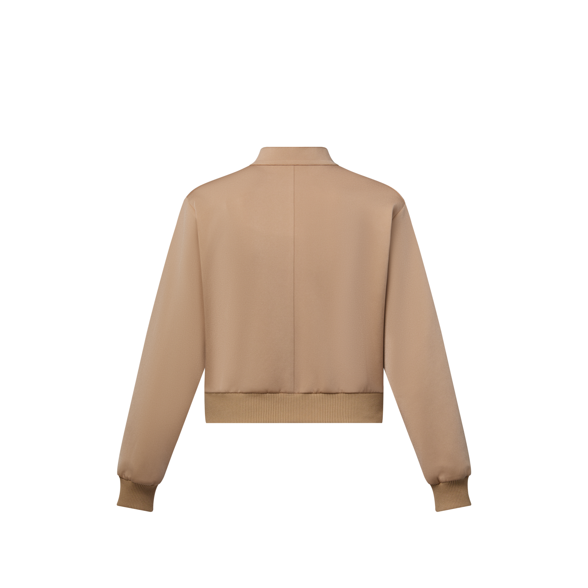  Ready to Wear Abrigos y chaquetas Chamarra bomber Louis Vuitton en 3D | Louis Vuitton ® (Ampliar producto)