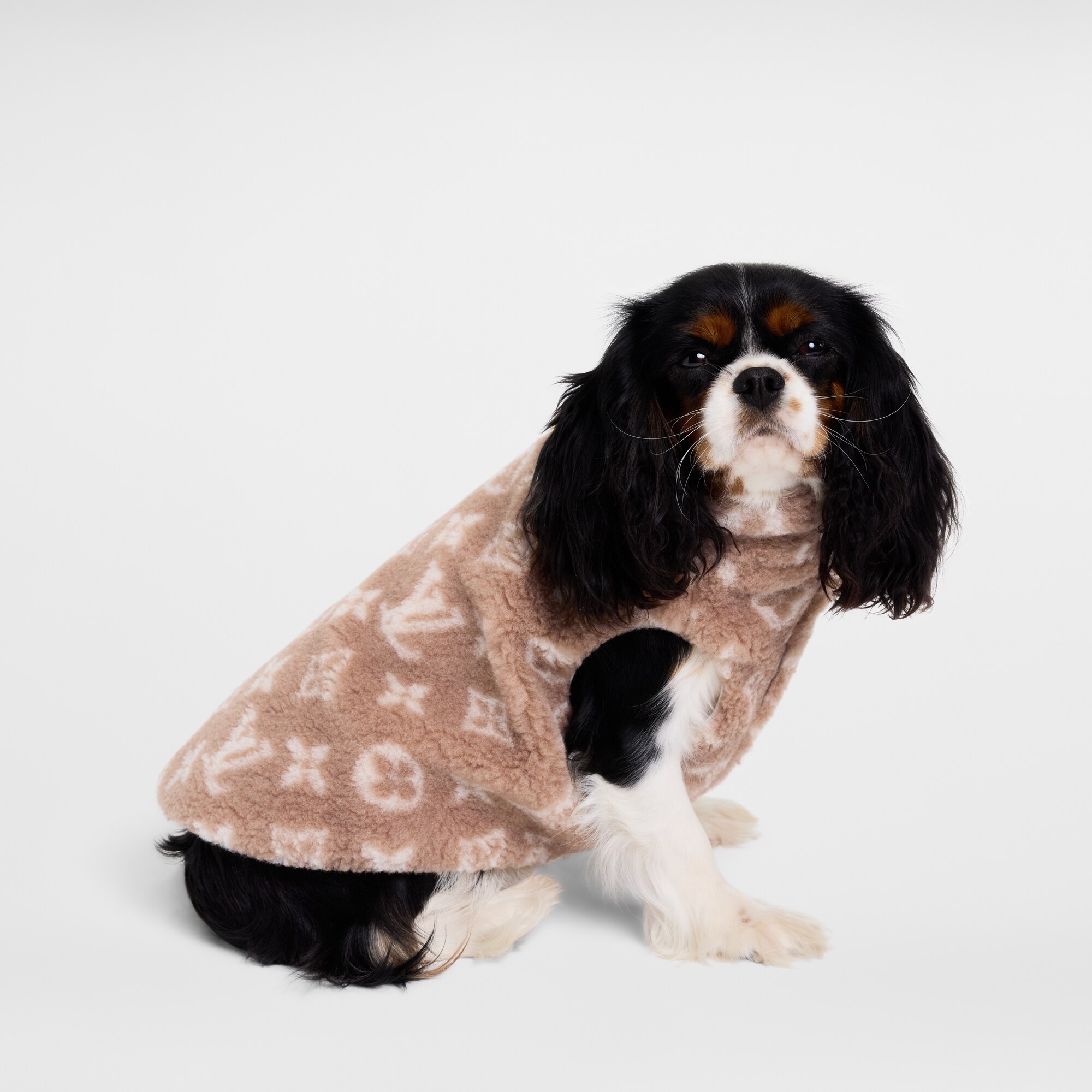 S00 Accesorios para Mascotas } Chamarra para perro PM en tejido de felpa | Louis Vuitton ® (Ampliar producto)