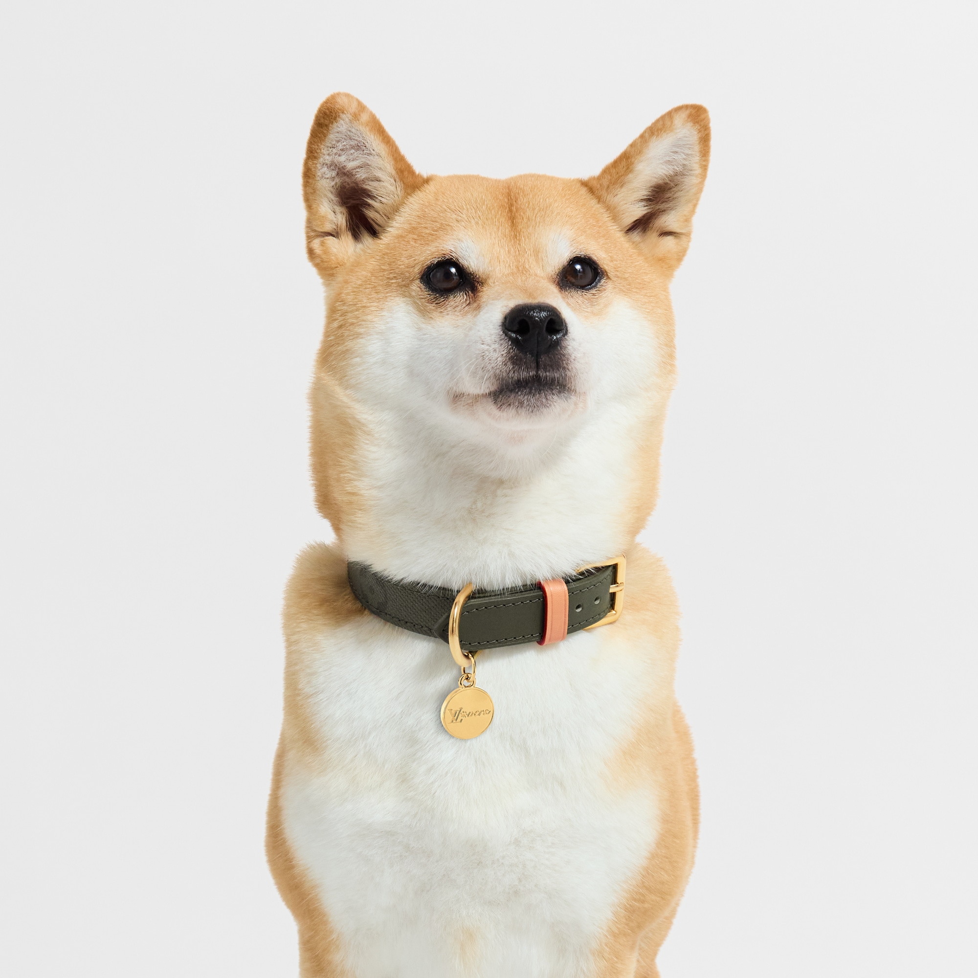 S00 Accesorios para Mascotas } Collar para perro PM | Louis Vuitton ® (Ampliar producto)