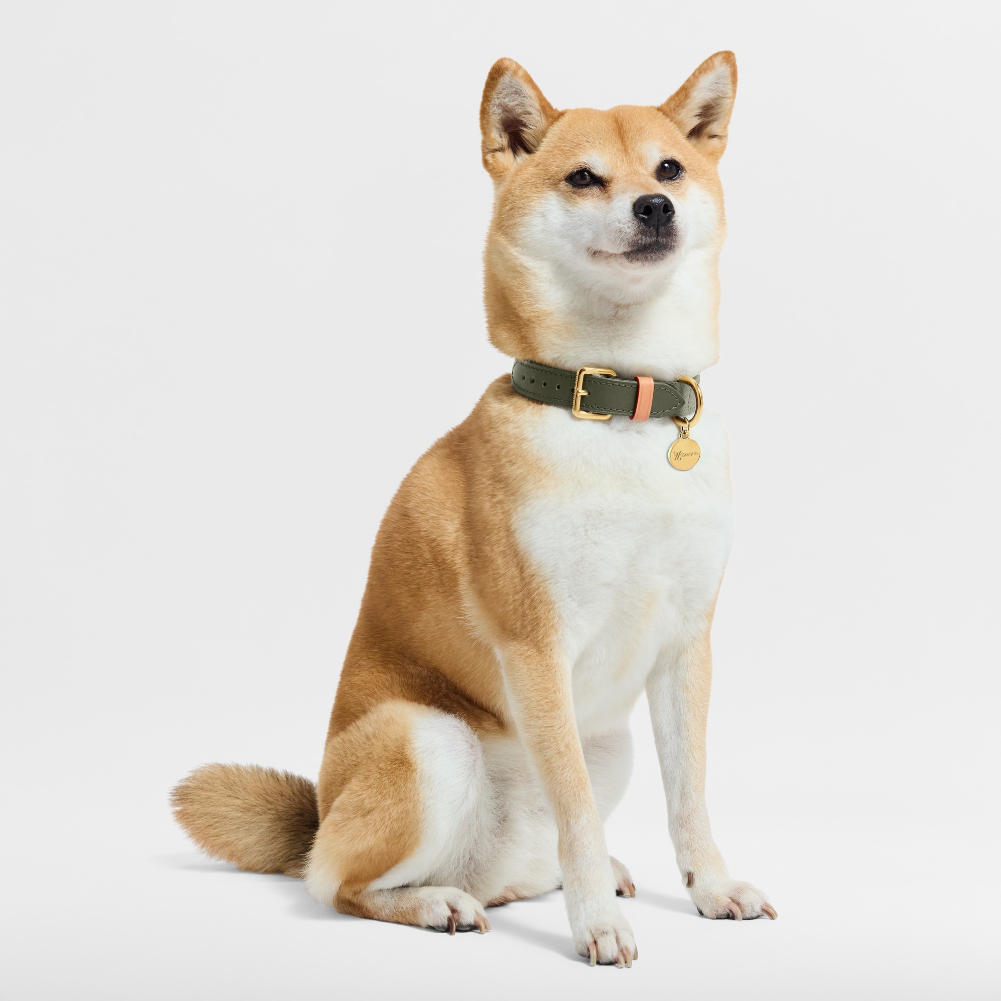 S00 Accesorios para Mascotas } Collar para perro PM | Louis Vuitton ® (Ampliar producto)