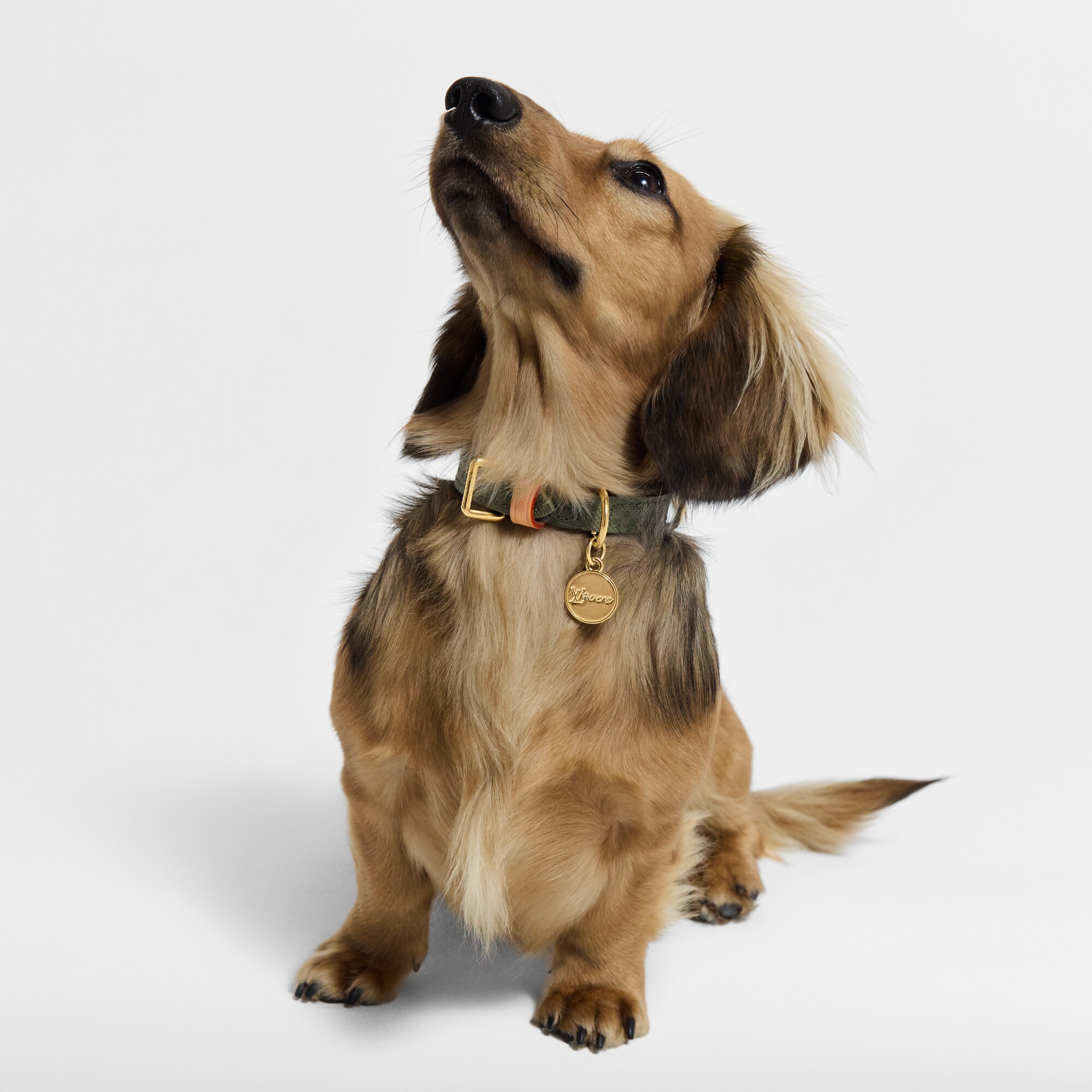 S00 Accesorios para Mascotas } Collar XS para perro | Louis Vuitton ® (Ampliar producto)