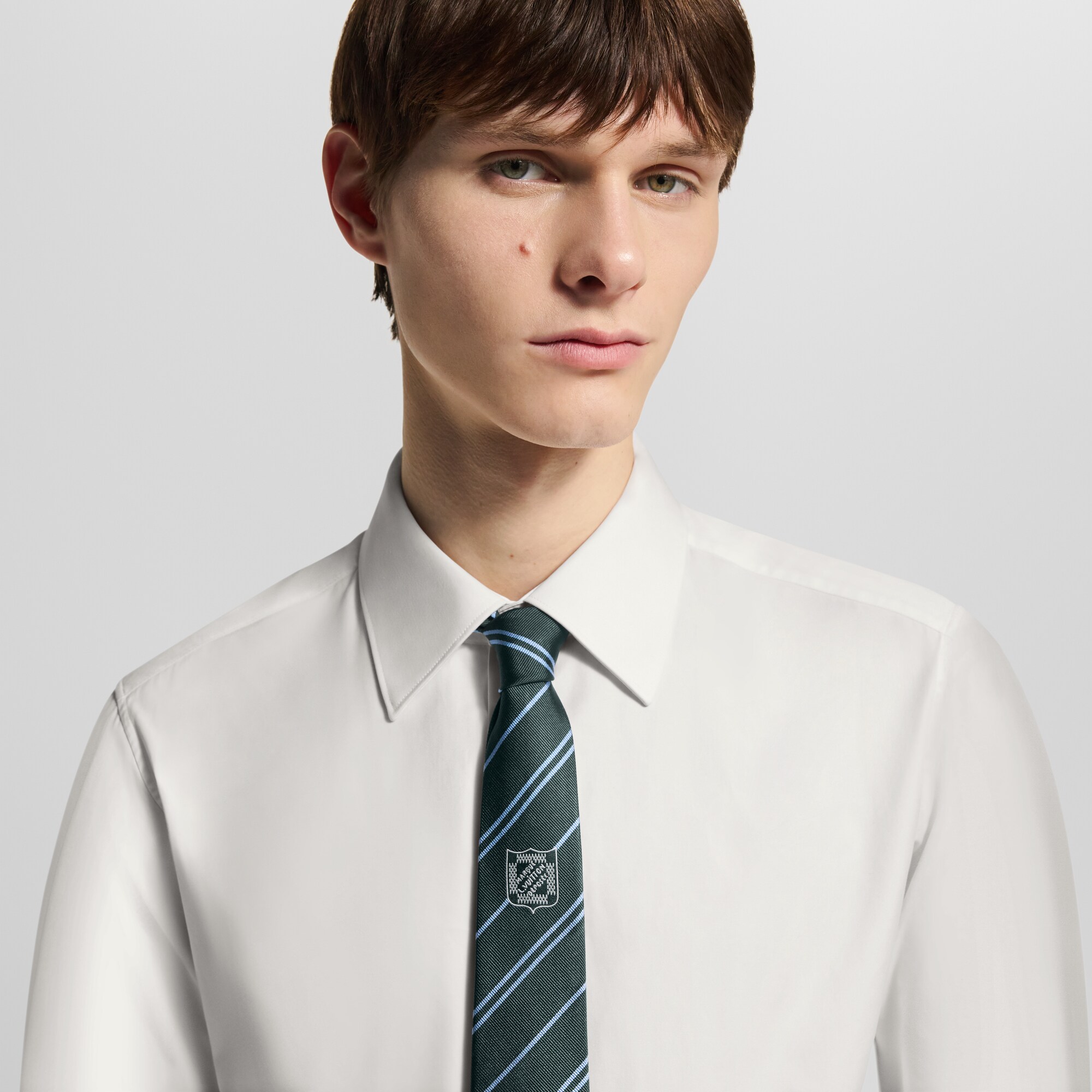S00 Accesorios Corbatas y pañuelos Corbata Ecu Stripes | Louis Vuitton ® (Ampliar producto)