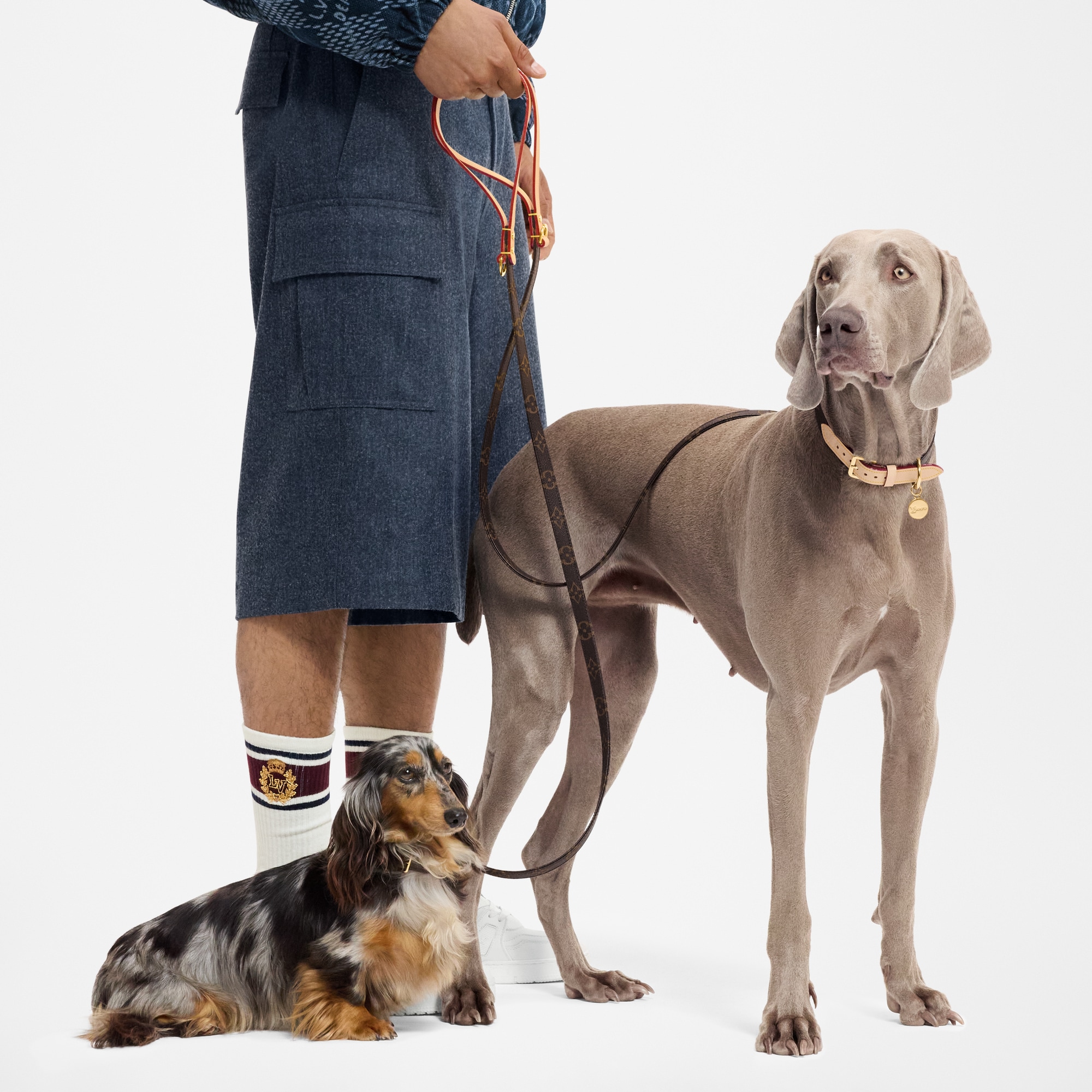  Accesorios para Mascotas } Correa para perro PM | Louis Vuitton ® (Ampliar producto)