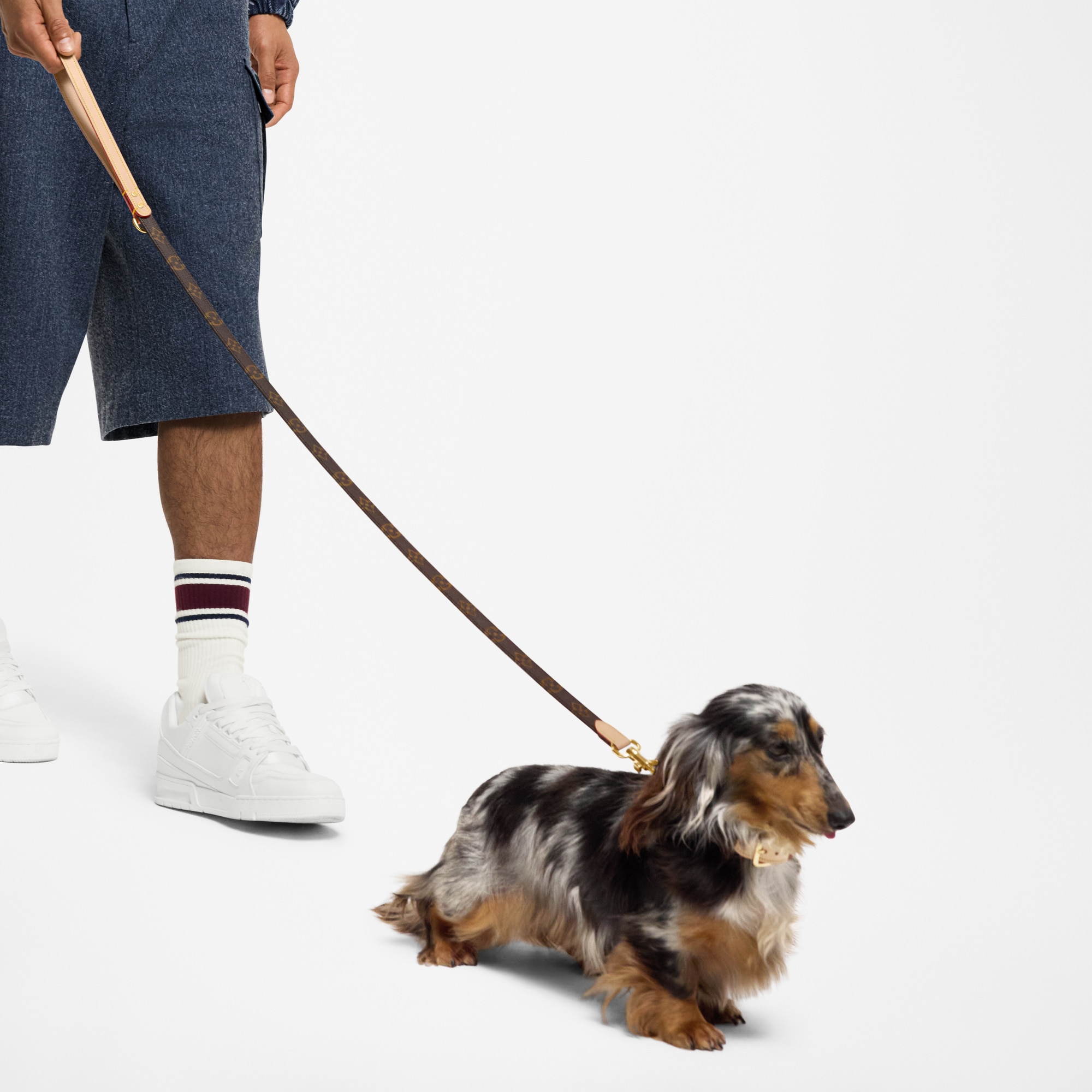  Accesorios para Mascotas } Correa para perro PM | Louis Vuitton ® (Ampliar producto)