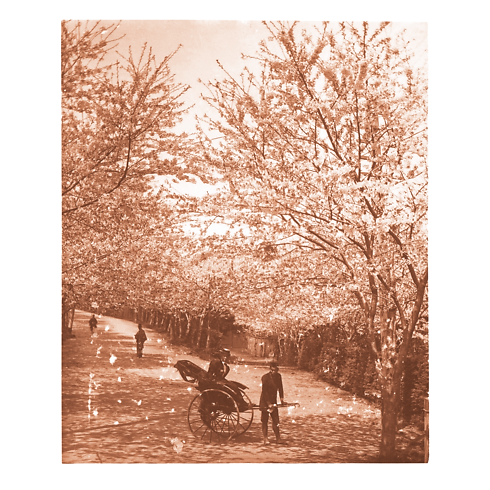 Librería Fashion Eye Fashion Eye Japón | Louis Vuitton ® (Ampliar producto)