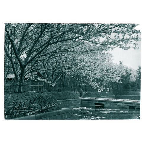 Librería Fashion Eye Fashion Eye Japón | Louis Vuitton ® (Ampliar producto)