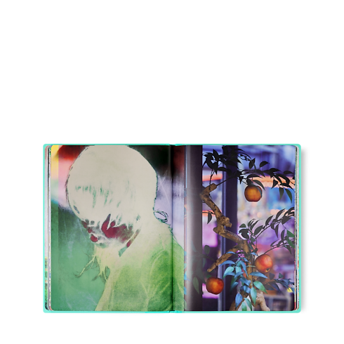 Librería Fashion Eye Fashion Eye Osaka | Louis Vuitton ® (Ampliar producto)