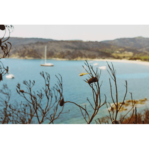 Librería Fashion Eye Fashion Eye Saint Tropez | Louis Vuitton ® (Ampliar producto)