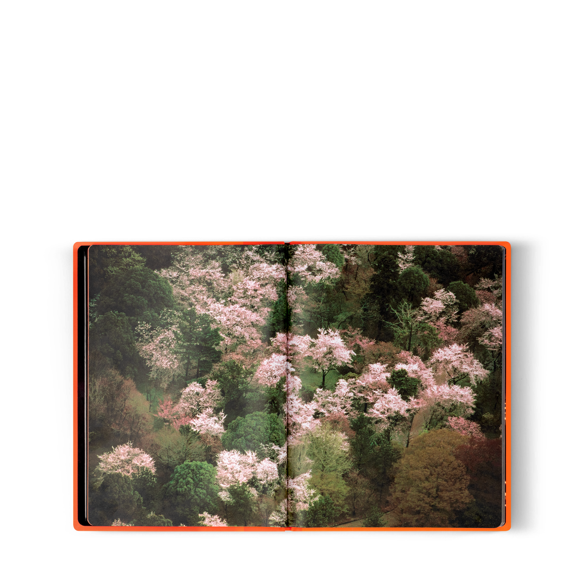  Librería Fashion Eye Fashion Eye Silk Road | Louis Vuitton ® (Ampliar producto)