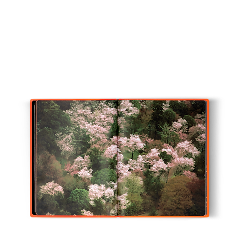 Librería Fashion Eye Fashion Eye Silk Road | Louis Vuitton ® (Ampliar producto)