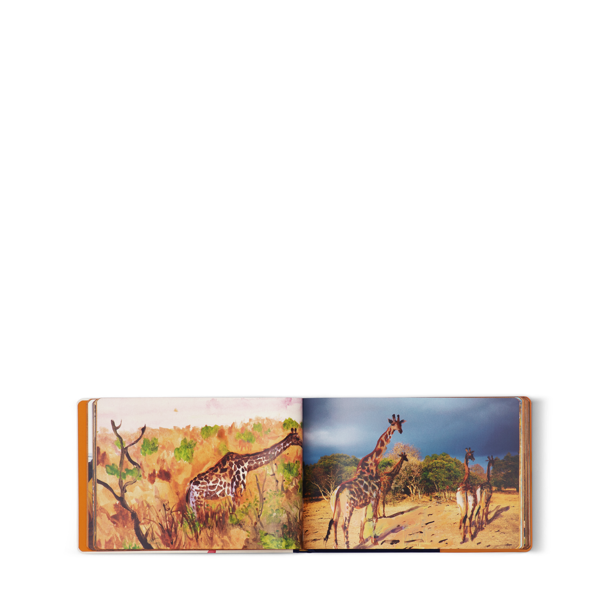  Librería Libro de Viaje Guía de viaje de Sudáfrica | Louis Vuitton ® (Ampliar producto)