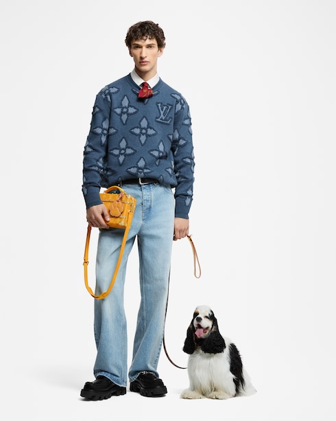 Other Monogram Canvas Trunks and Boxes Wearable Trunks Handle Trunk | Louis Vuitton ®