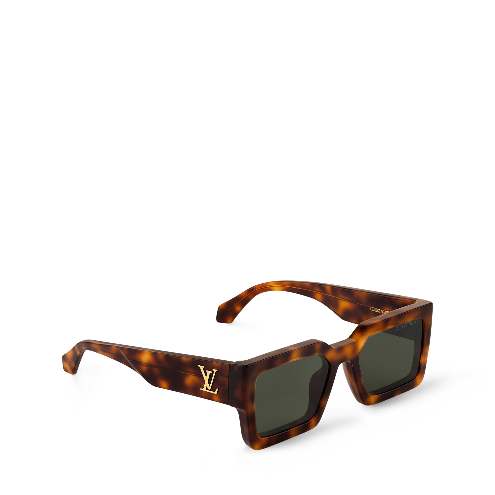 Dark Tortoise