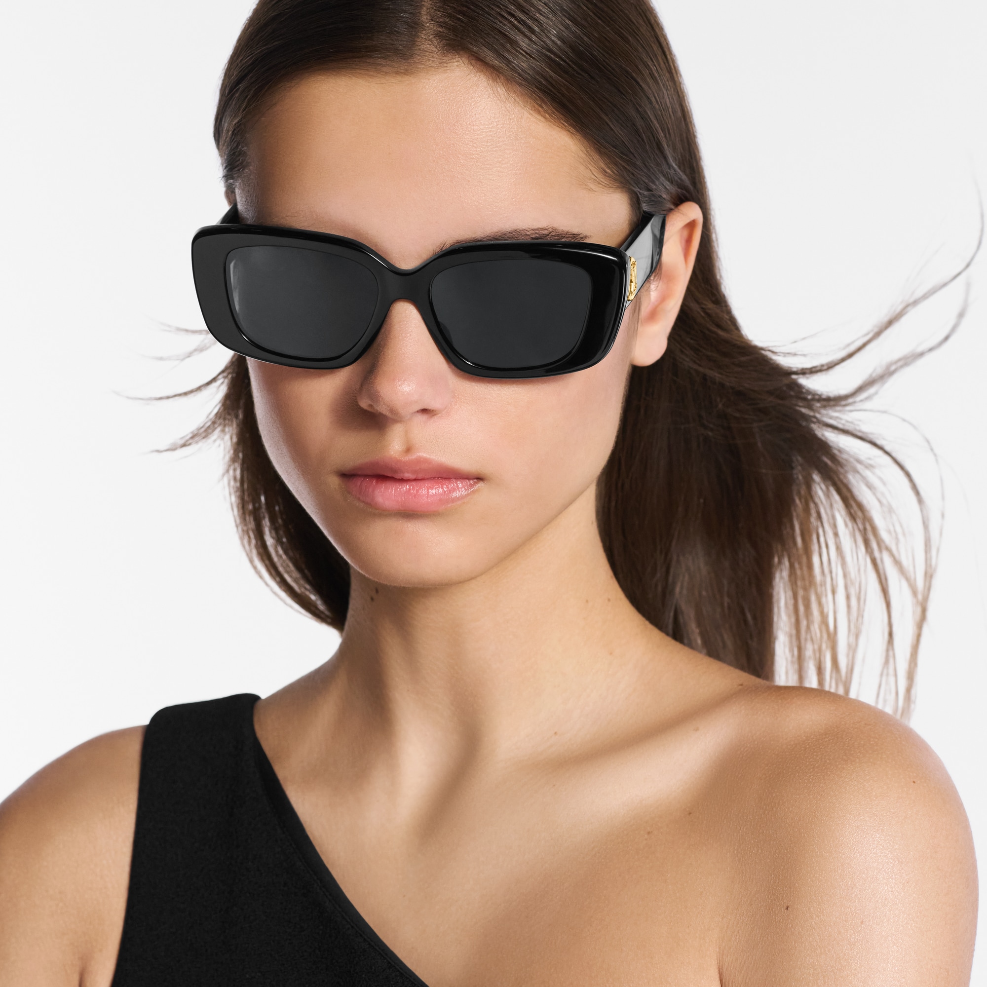 S00 Accesorios Lentes de sol Lentes de sol LV Circle Large Cat Eye | Louis Vuitton ® (Ampliar producto)