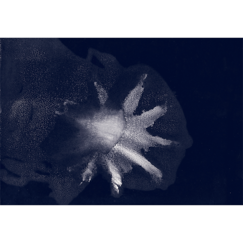 Librería Libro de Viaje Libro de viaje Mar Mediterráneo, edición de colección | Louis Vuitton ® (Ampliar producto)