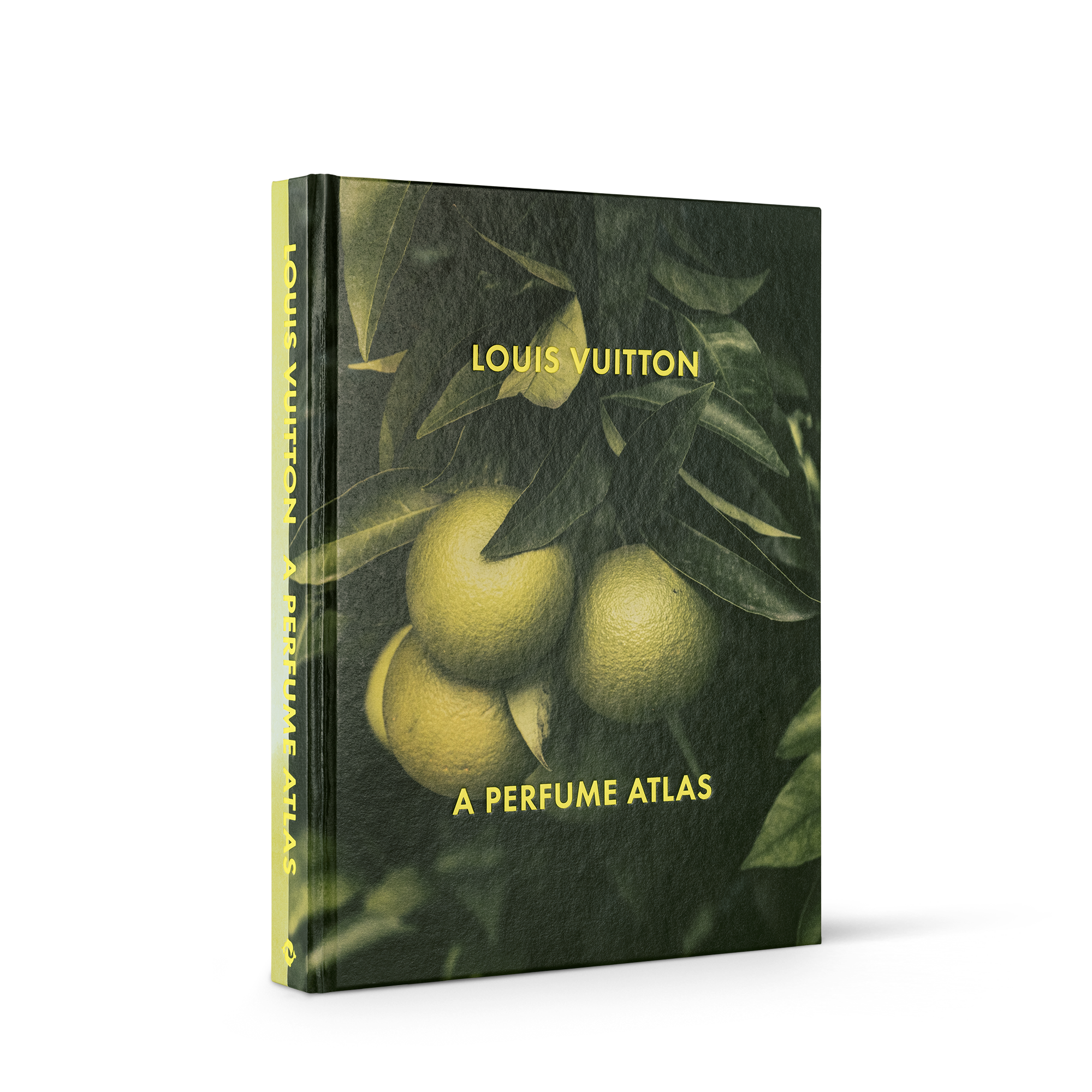 Librería Libros de pasta dura Louis Vuitton: un atlas del perfume, versión en inglés | Louis Vuitton ® (Ampliar producto)