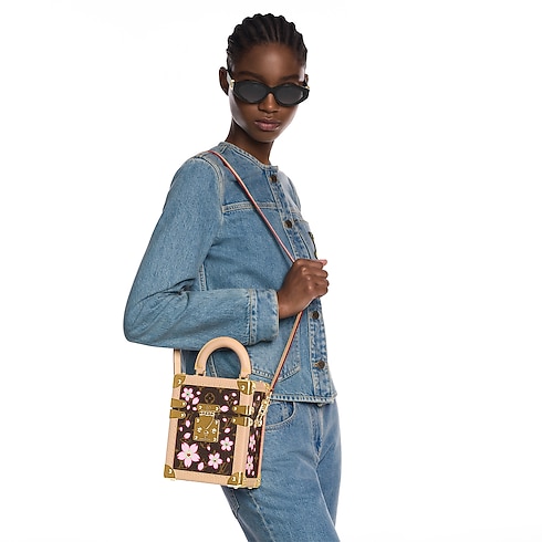 Autres Toiles Monogram Baúles y Cajas Baúles LV x TM Camera Box | Louis Vuitton ® (Ampliar producto)