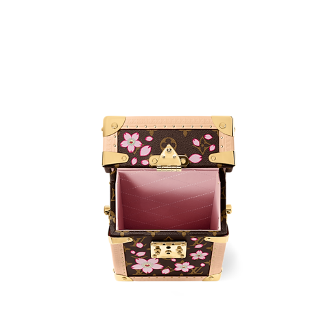 Autres Toiles Monogram Baúles y Cajas Baúles LV x TM Camera Box | Louis Vuitton ® (Ampliar producto)