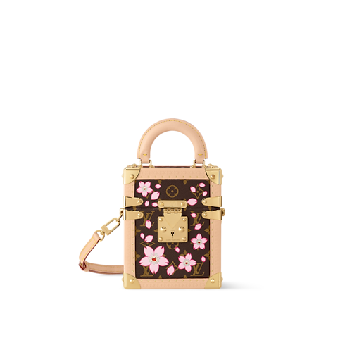 Autres Toiles Monogram Baúles y Cajas Baúles LV x TM Camera Box | Louis Vuitton ® (Ampliar producto)