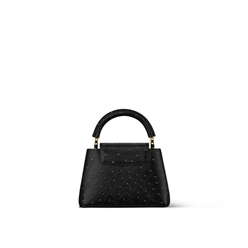 Autruche Bolsas de mano Capucines LV x TM Capucines Mini | Louis Vuitton ® (Ampliar producto)