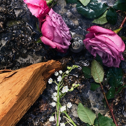 Todos los Perfumes } Perfume eLVes Louis Vuitton | Louis Vuitton ® (Ampliar producto)