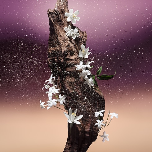 Personalización Personalización Perfumes Perfume Fleur du Désert | Louis Vuitton ® (Ampliar producto)