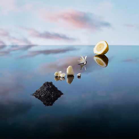 Chinese Valentine's Day Selection } Perfume Imagination | Louis Vuitton ® (Ampliar producto)