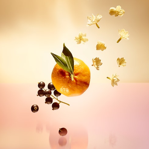 Colecciones Perfumes de mujer Perfume Le Jour Se Lève | Louis Vuitton ® (Ampliar producto)