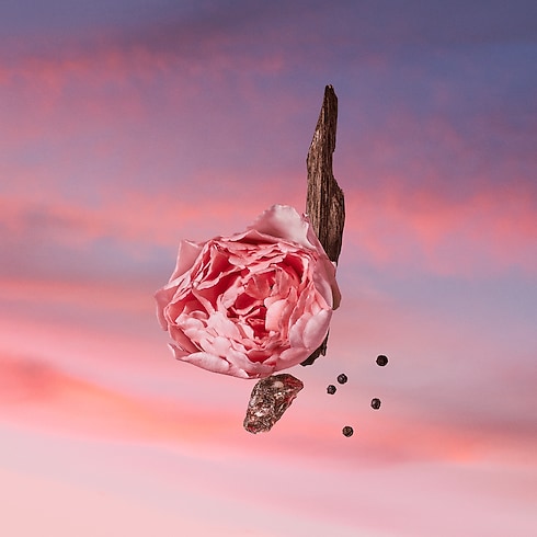 Colecciones Perfumes de hombre Perfume Les Sables Roses | Louis Vuitton ® (Ampliar producto)