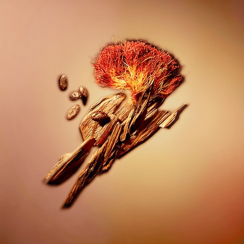 Colecciones Perfumes de hombre Perfume Nouveau Monde | Louis Vuitton ® (Ampliar producto)