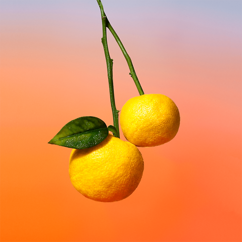 Colecciones Perfumes de hombre Perfume On the Beach | Louis Vuitton ® (Ampliar producto)