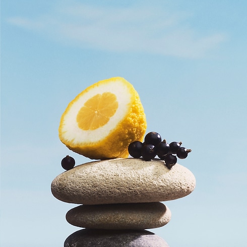 Colecciones Perfumes de hombre Perfume Pacific Chill | Louis Vuitton ® (Ampliar producto)