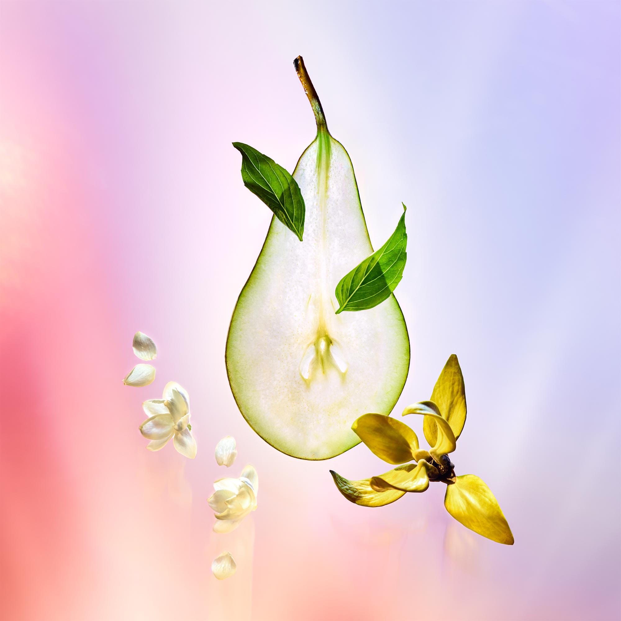  Colecciones Viajes Repuesto de vaporizador de viaje Coeur Battant | Louis Vuitton ® (Ampliar producto)