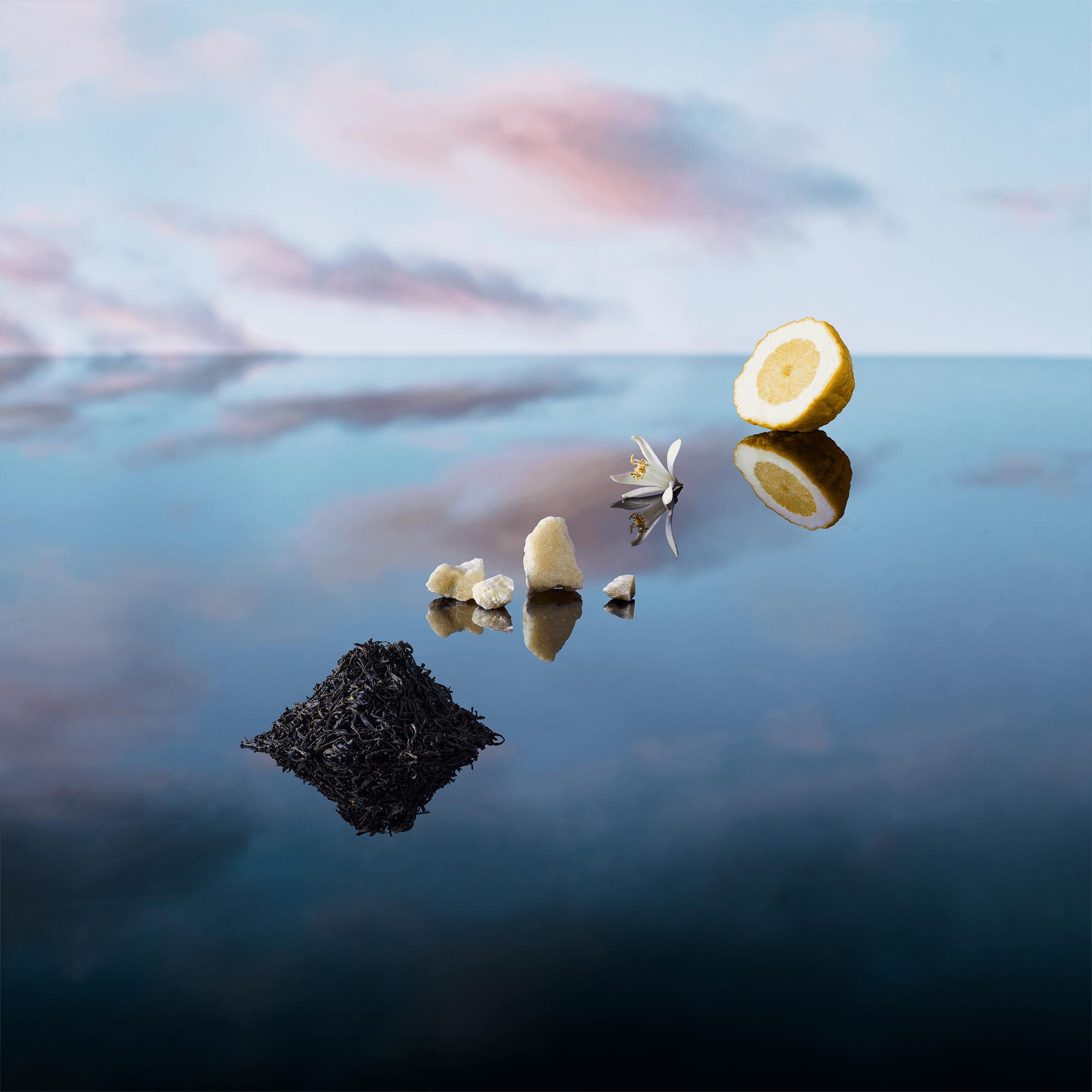  Colecciones Viajes Repuesto de vaporizador de viaje Imagination | Louis Vuitton ® (Ampliar producto)