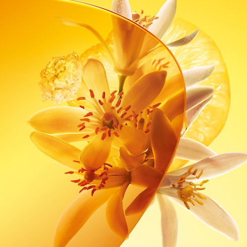 Colecciones Perfumes de hombre Sun Song | Louis Vuitton ® (Ampliar producto)